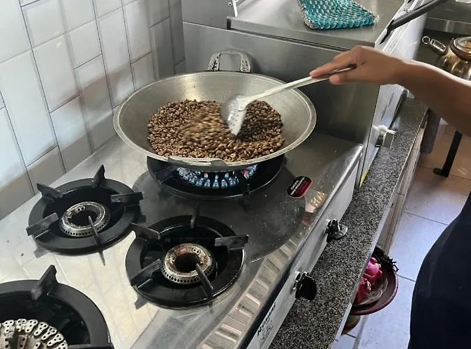 Frühstückspension Pinokkio 3*