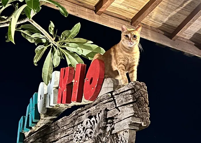 Frühstückspension Pinokkio Uluwatu