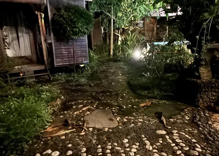 Pinokkio